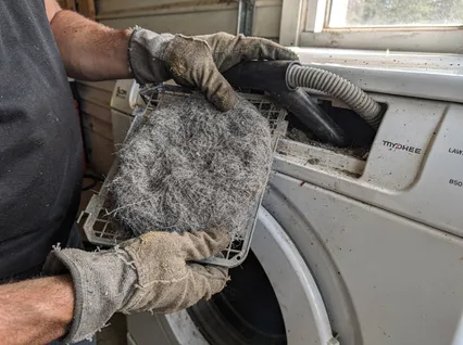 Cleaning Dryer Lint Trap service in Black Forest, CO